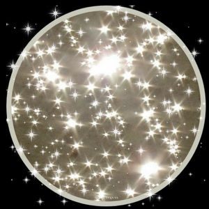 Meet your Posher, Mia